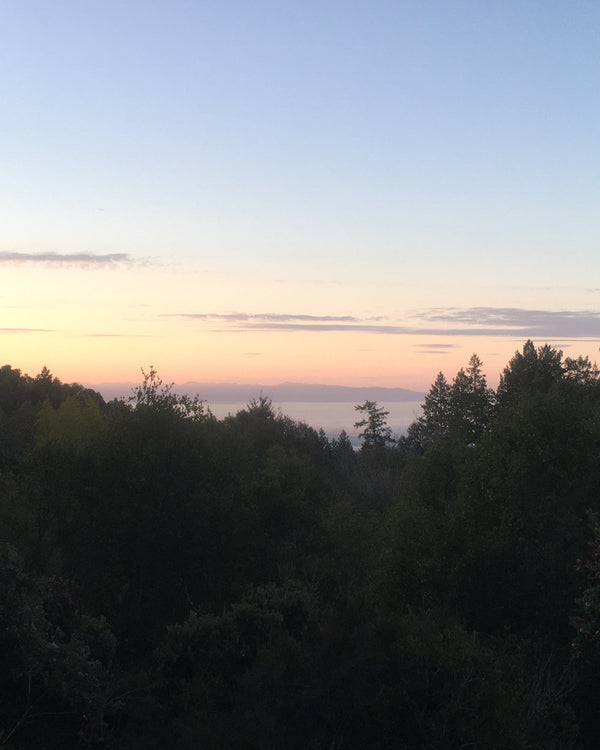 What does Lume Six mean?