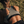 Cirra High Impact Sports Bra